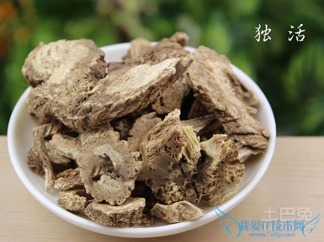 独活图片 独活图片