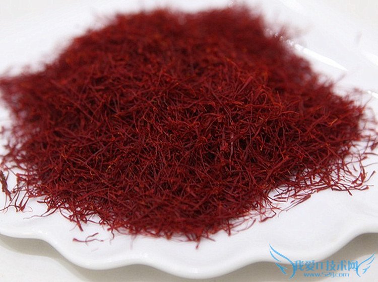 غ컨ĳԷȫ غ컨ĳԷ뽨