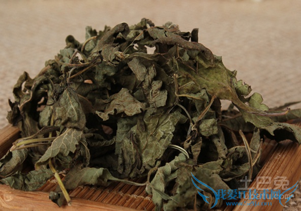 冬凌草茶的功效与作用