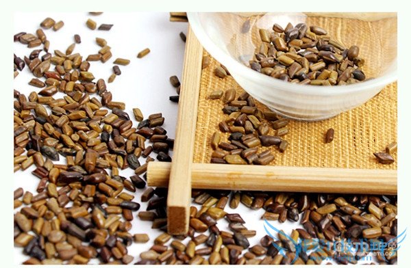 山楂决明子茶 山楂决明子茶