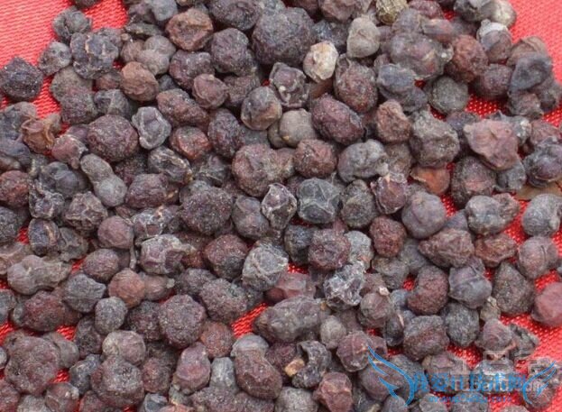 南五味子与北五味子的区别