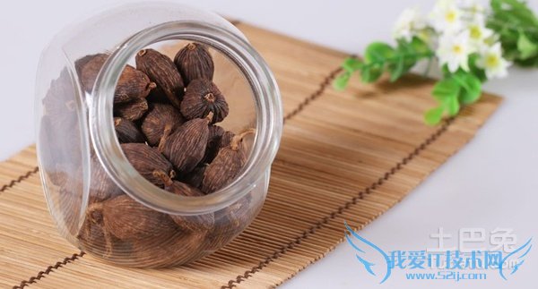 草果是什么 草果是什么