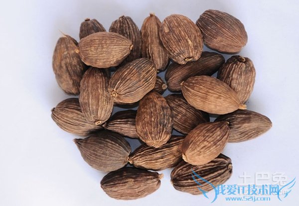 草果是什么 草果是什么