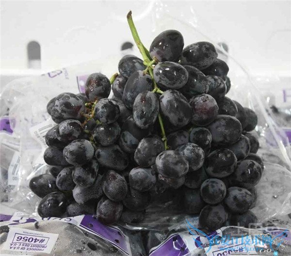 黑加仑葡萄价格 黑加仑葡萄价格