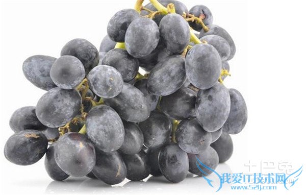 黑加仑葡萄价格 黑加仑葡萄价格