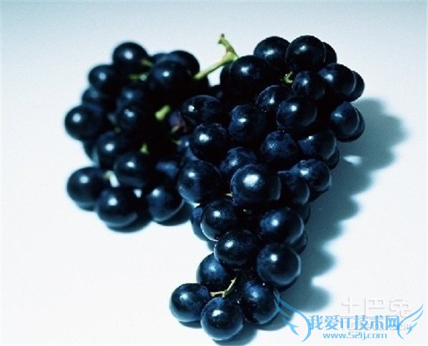 黑加仑葡萄价格 黑加仑葡萄价格