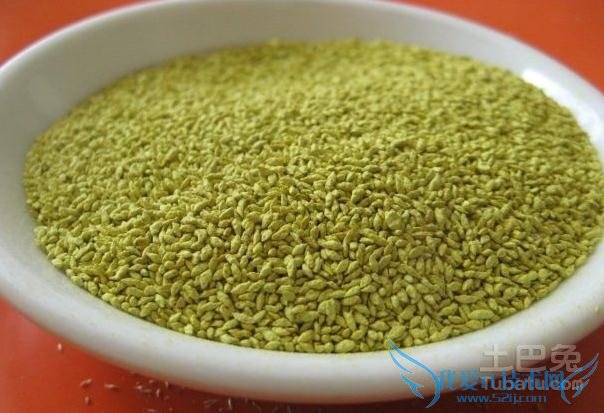 草籽的功效 草籽的功效