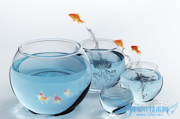 金鱼缸法则