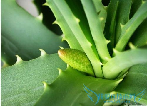 «ĹЧô󼯺 㶼֪Щ?