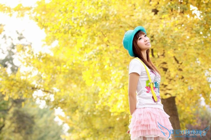 银杏叶片的副作用 银杏叶片的功效与作用