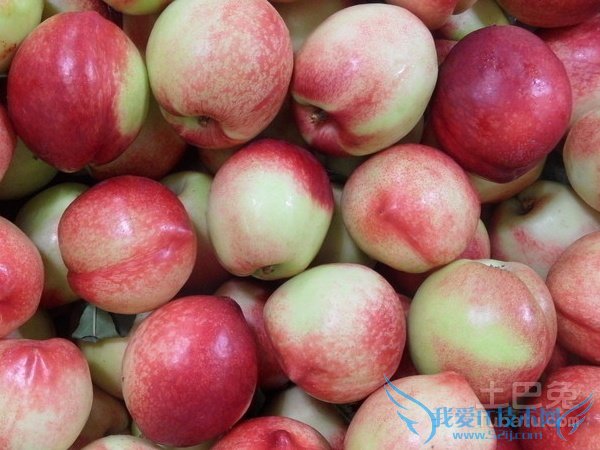 油桃图片 油桃图片