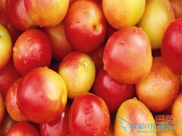 油桃图片 油桃图片