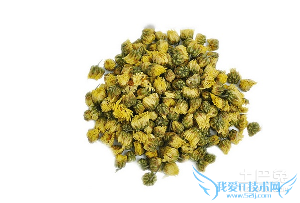 胎菊王冲泡方法