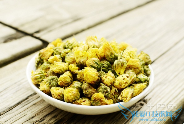 胎菊王冲泡方法