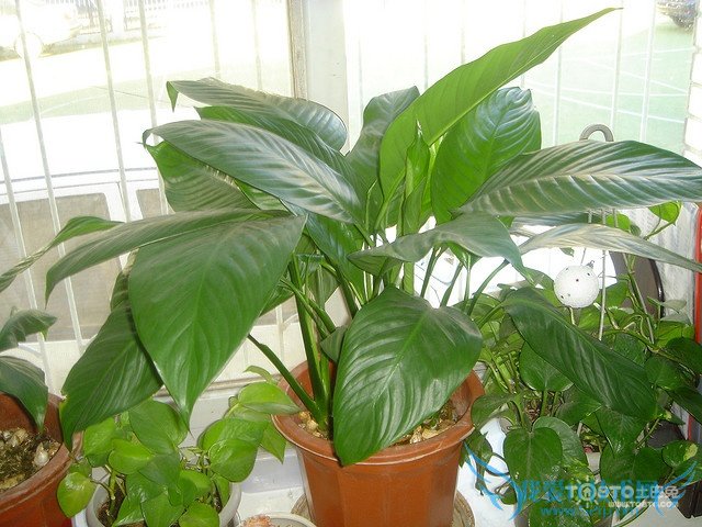 һ˳ͼƬȫ һ˳ͼƬͼϽ