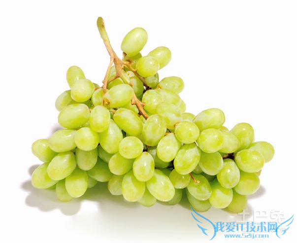 马奶葡萄图片