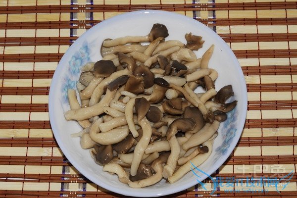 姬菇品种 姬菇品种