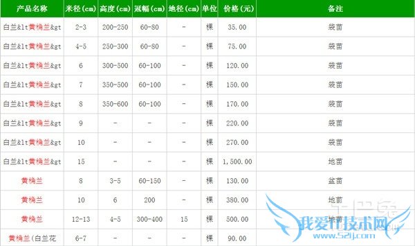 黄桷兰价格 黄桷兰价格