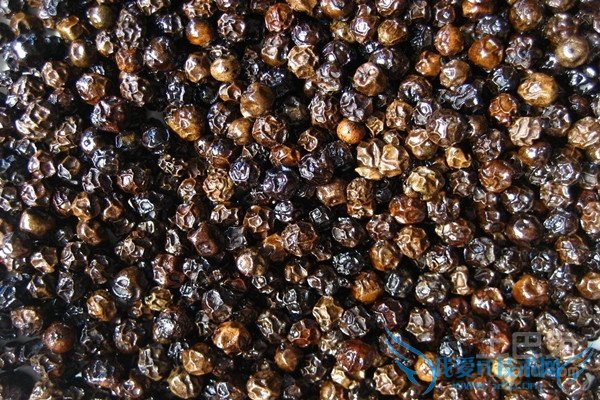 黑胡椒与白胡椒的区别 黑胡椒与白胡椒的区别