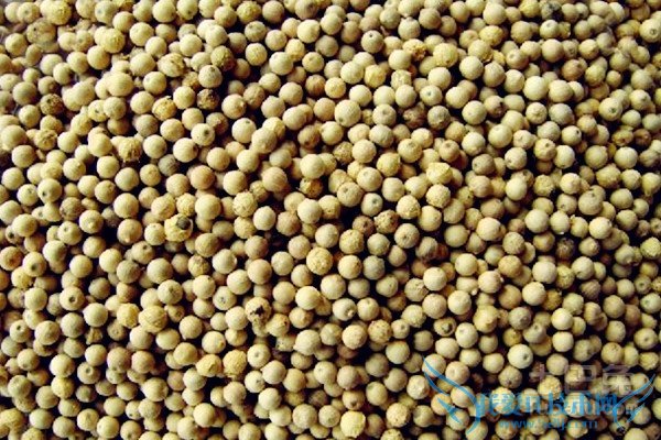 黑胡椒与白胡椒的区别 黑胡椒与白胡椒的区别