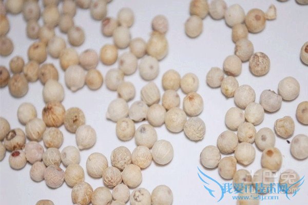 黑胡椒与白胡椒的区别 黑胡椒与白胡椒的区别