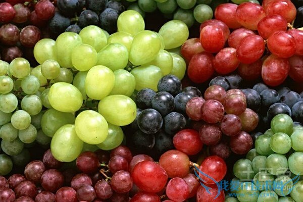 大泽山葡萄价格 大泽山葡萄价格