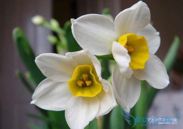 ˮɻͼƬȫ ˮɻͼƬͼϽ