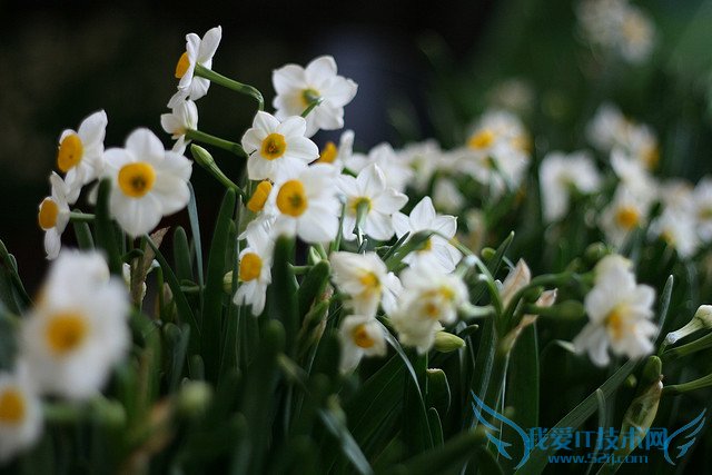 ˮɻͼƬȫ ˮɻͼƬͼϽ