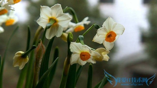 ˮɻͼƬȫ ˮɻͼƬͼϽ