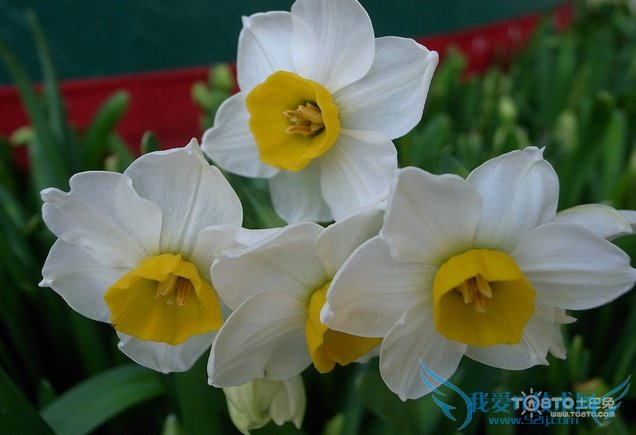 ˮɻͼƬȫ ˮɻͼƬͼϽ