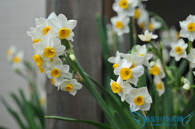 ˮɻͼƬȫ ˮɻͼƬͼϽ