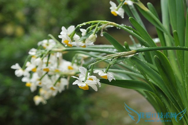 ˮɻͼƬȫ ˮɻͼƬͼϽ