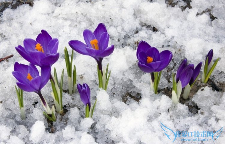 غ컨ĹЧԷغ컨ľŴԷƼԷ