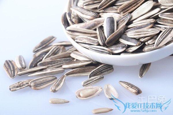 葵瓜子种植 葵瓜子种植