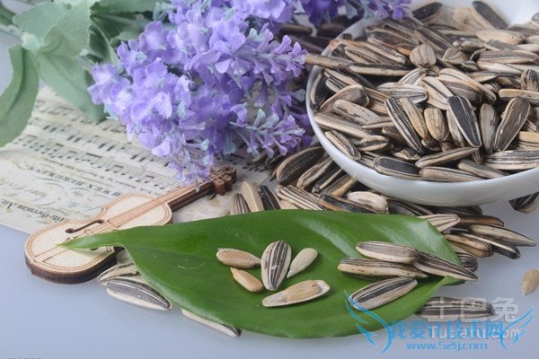 葵瓜子种植 葵瓜子种植