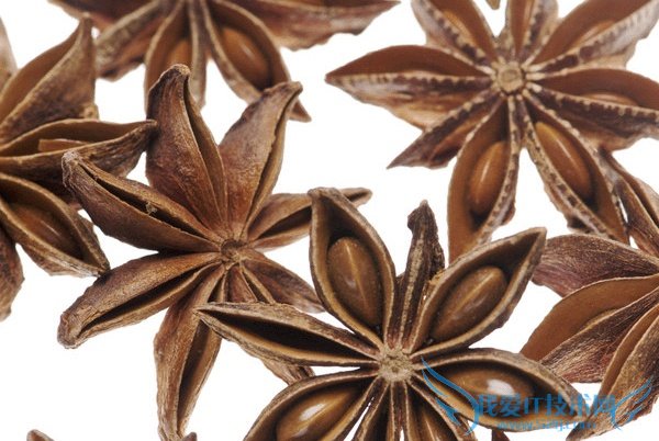 大茴香 大茴香