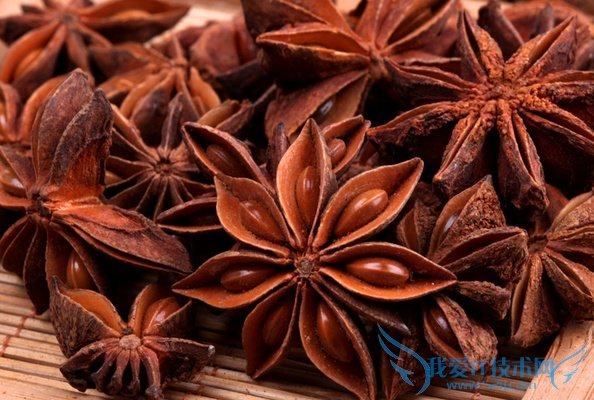 大茴香 大茴香