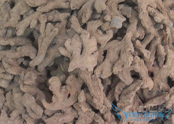 干姜的功效与作用 干姜的功效与作用