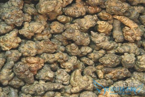 川芎的作用与功效