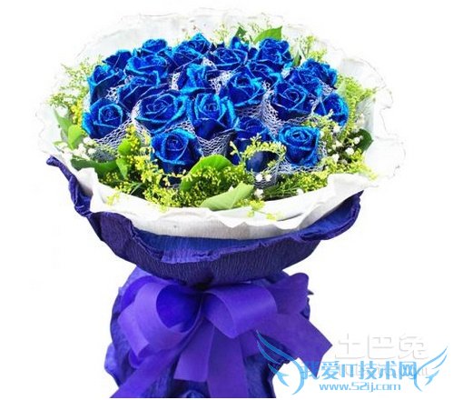 蓝色妖姬花语 蓝色妖姬花语