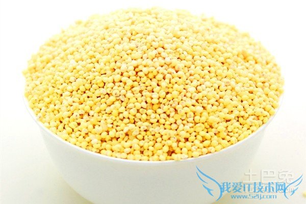 黄米的营养价值 黄米的营养价值