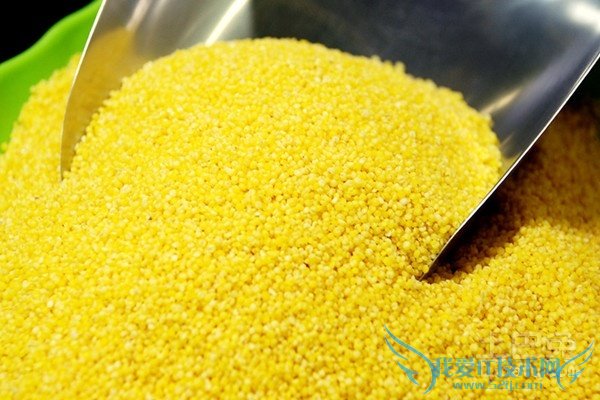 黄米的营养价值 黄米的营养价值