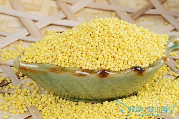 黄米的营养价值 黄米的营养价值
