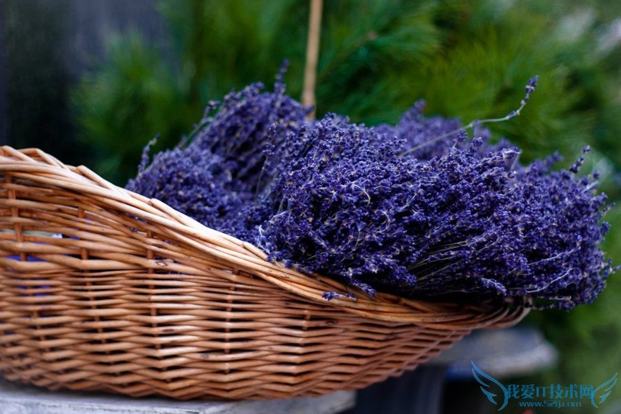 ޹²ݻʲô? ޹²ݻȫ