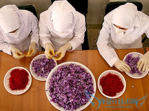 غ컨ĸʲô? غ컨ʹý