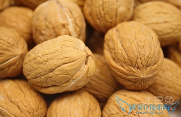 生核桃的功效