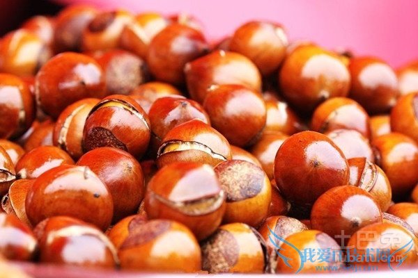 粟子的功效与作用 粟子的功效与作用