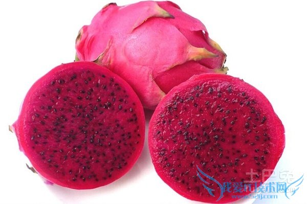 红肉火龙果的功效与作用