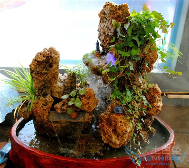 上水石盆景养护