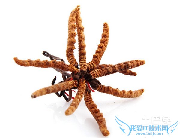 444445.png 444445.png